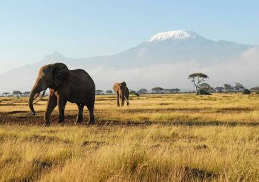 3 Days Amboseli National Park